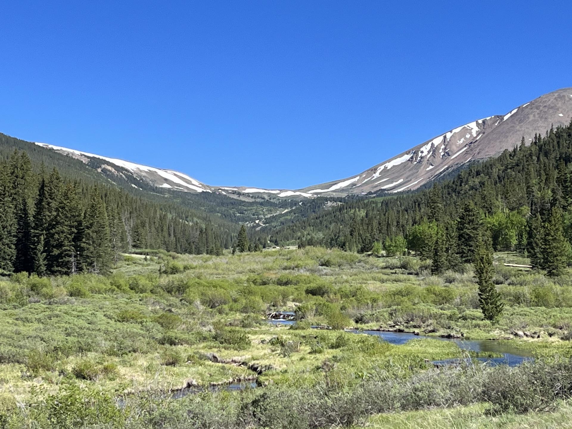 Sunny mountain valley with a winding stream, green trees, and snow-capped peaks.