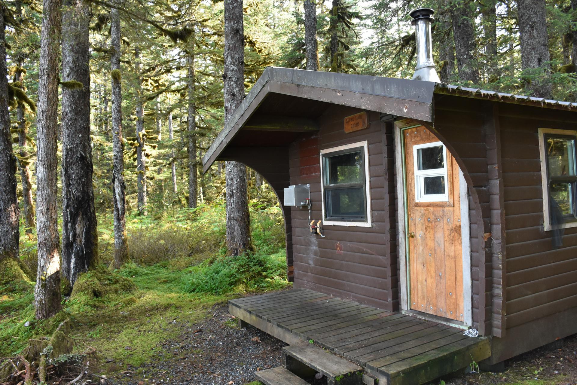 Small rustic cabin with a porch in a dense, mossy forest.