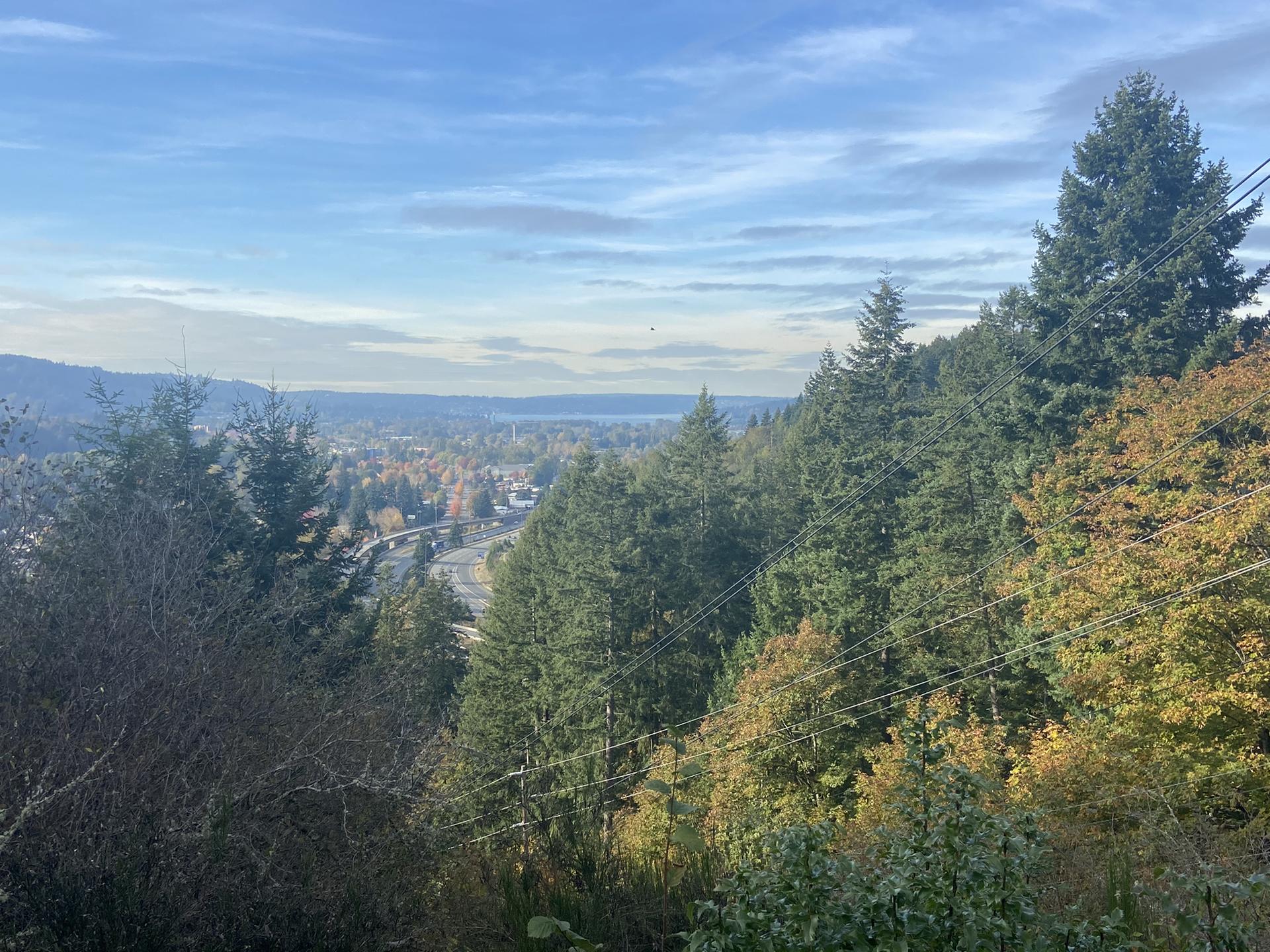 Overlook of a forested valley with a distant body of water under a bright sky.