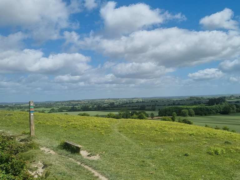 Sundon Hills Country Park and Sharpenhoe Clappers Forest loop from ...