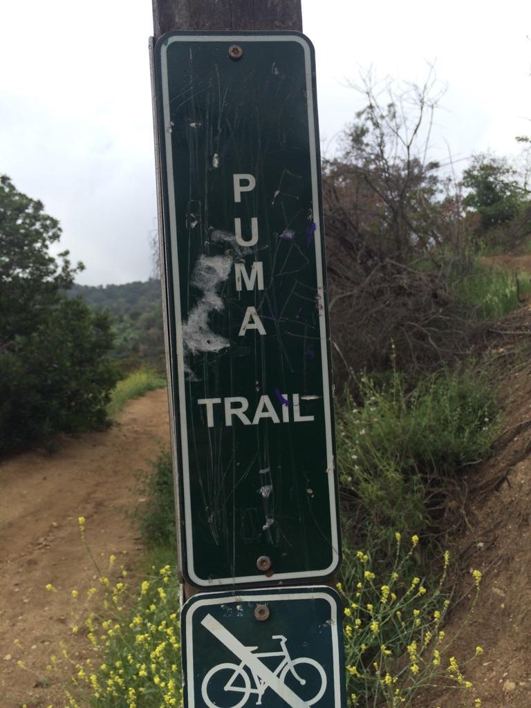 Dark green trail sign on a dirt path with green foliage.
