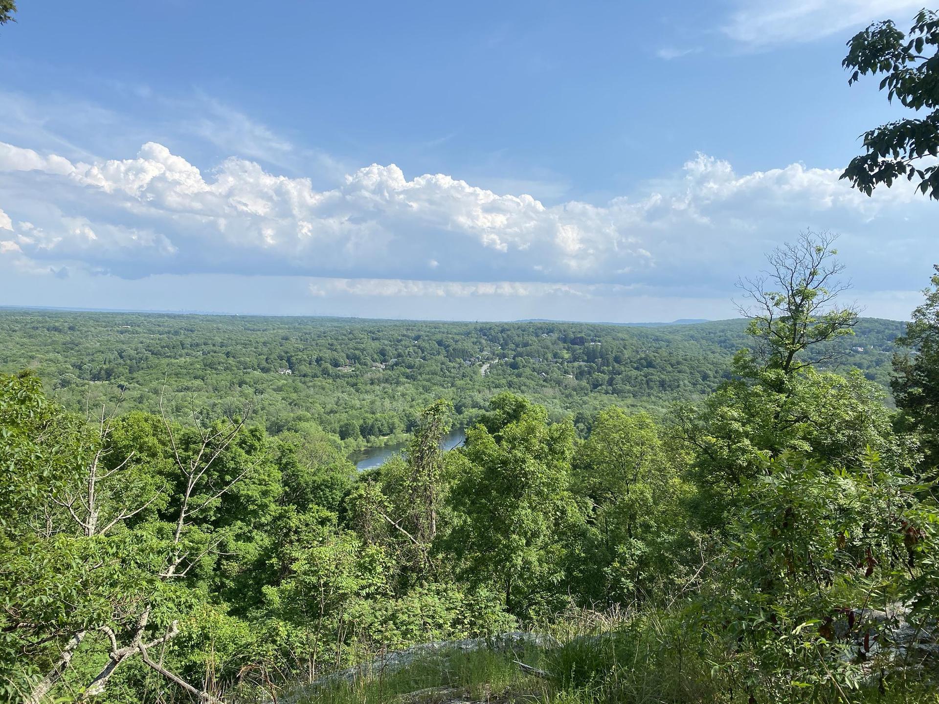 Expansive view of a lush green forest under a bright, cloudy sky.