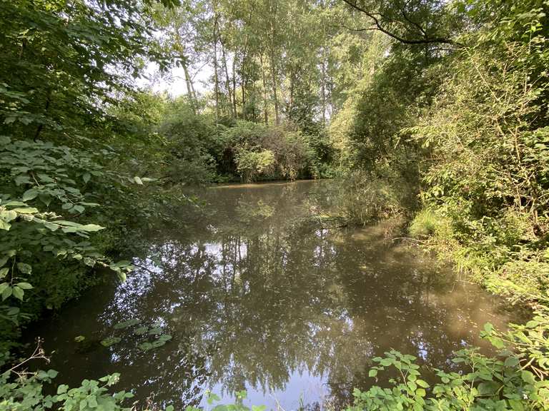 wandeling-door-de-turfput-van-berlare-wandeling-komoot
