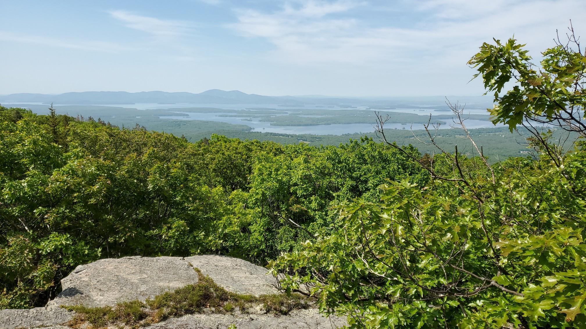 Sunny overlook of vast water winding through lush green forests.