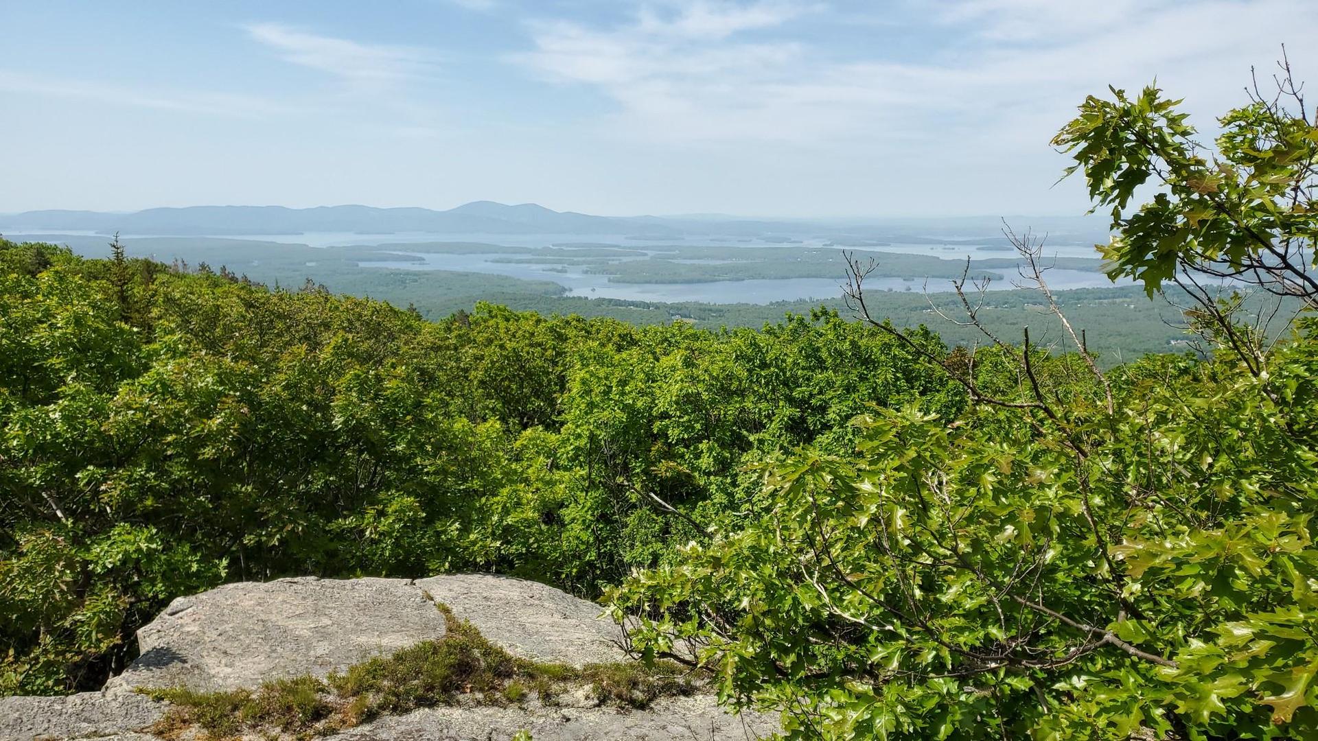 Sunny overlook of vast water winding through lush green forests.