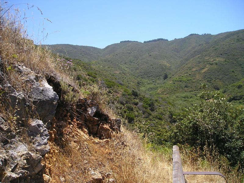 Sunny view of steep, green, forested mountains with rocky foreground.