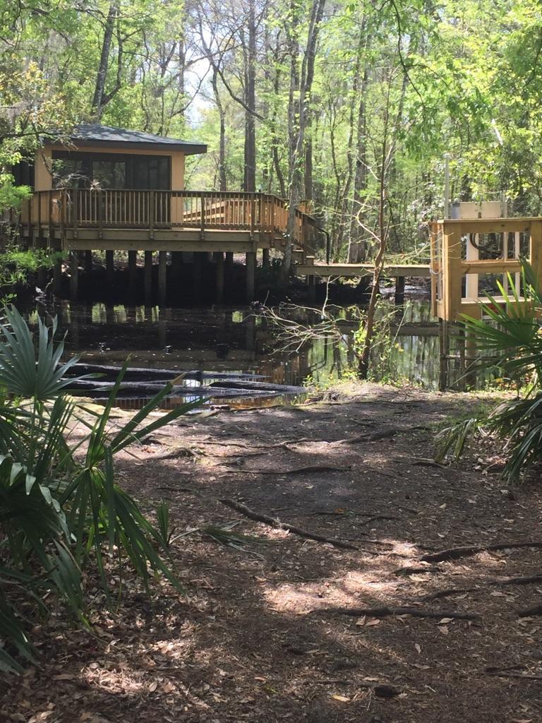 A wooden cabin on stilts overlooks dark water in a sunny forest.