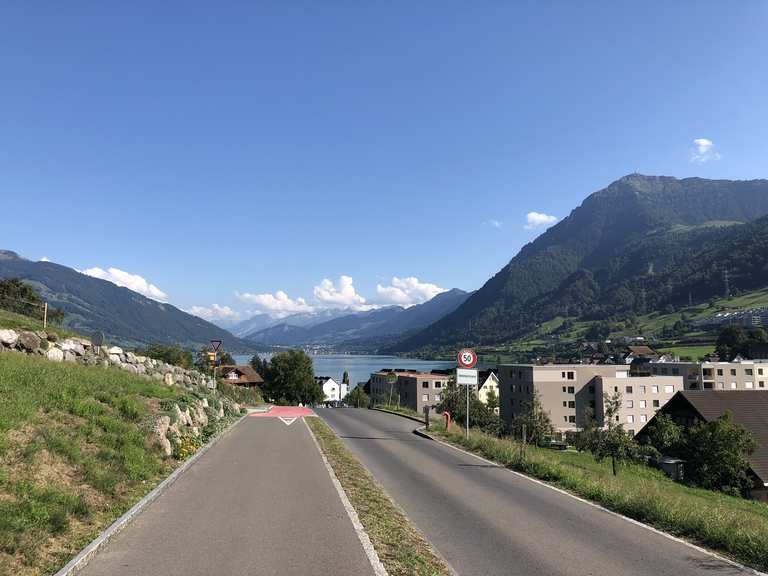 Zuger See bei Zug Zugersee Runde von Buchrain RennradTour Komoot