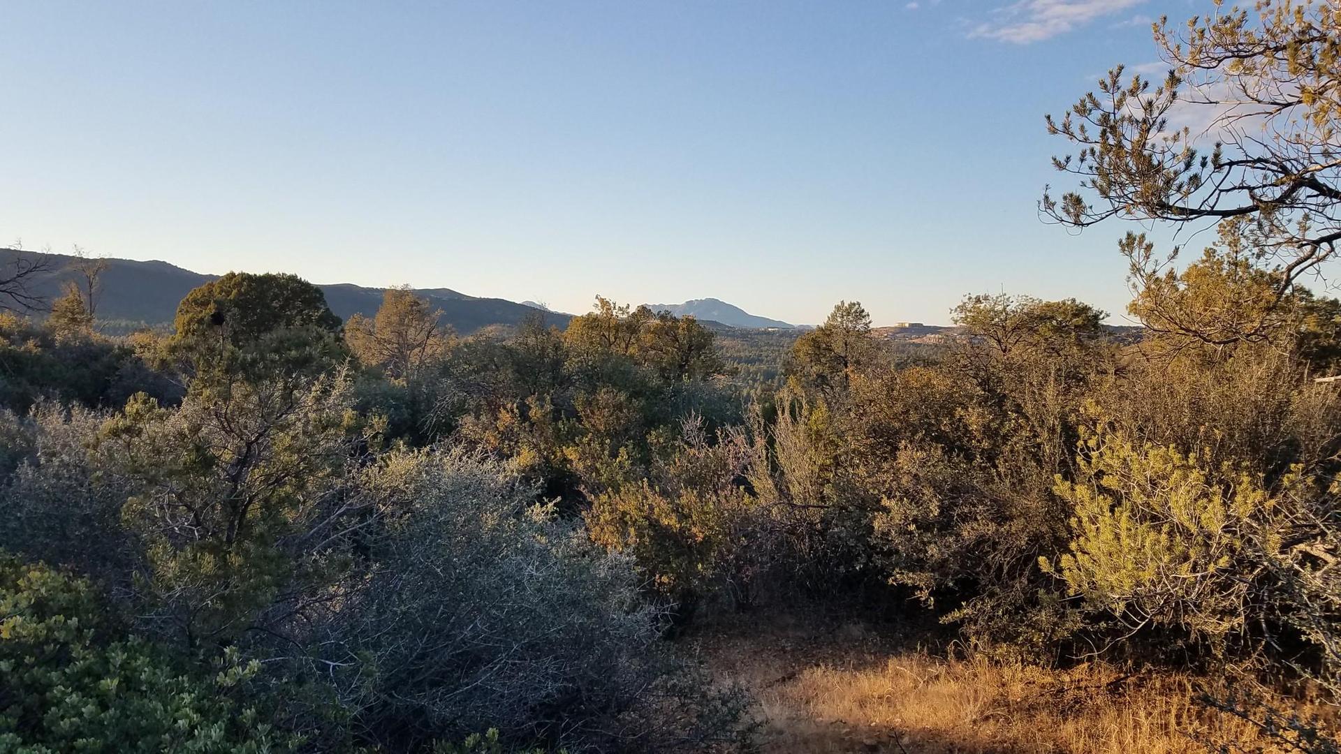 Hilly landscape with dense brush and distant mountains under golden hour light.