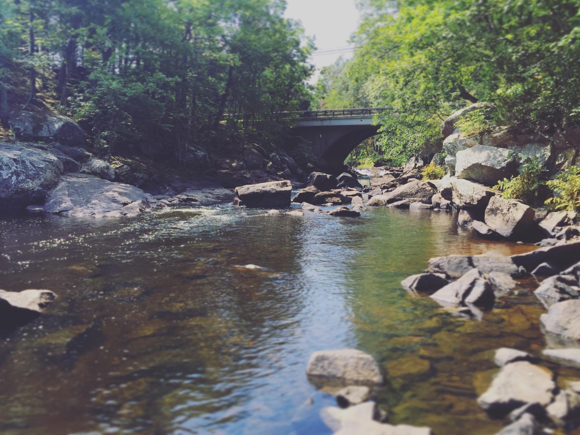 A rocky river flows under an arched bridge surrounded by green trees.