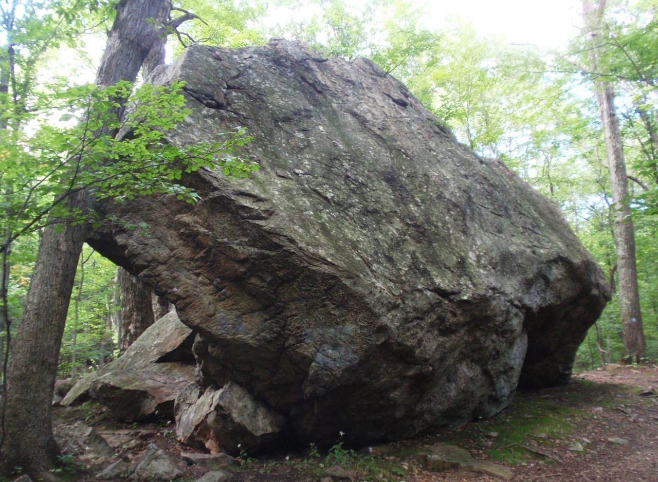 A massive boulder rests on the forest floor surrounded by green trees.