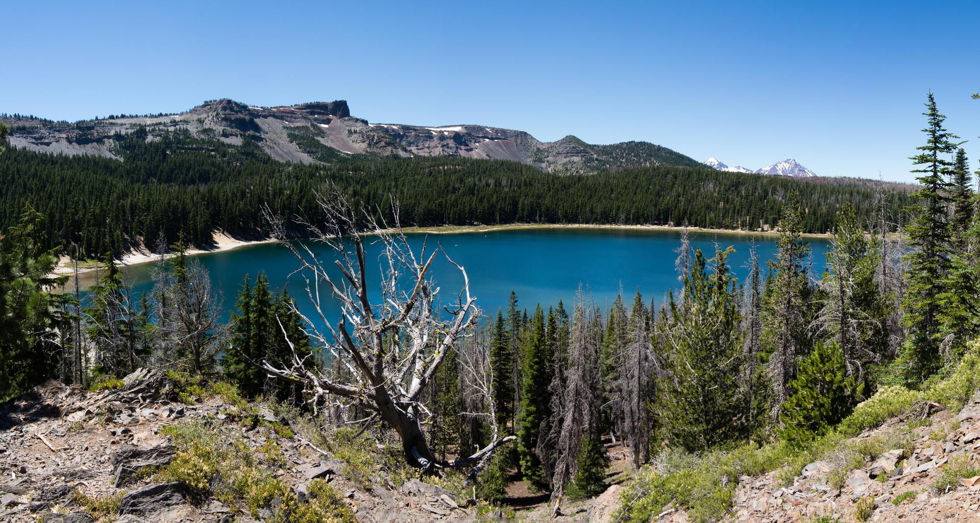 Panoramic view of a vibrant blue lake surrounded by dense pine forest and mountains.