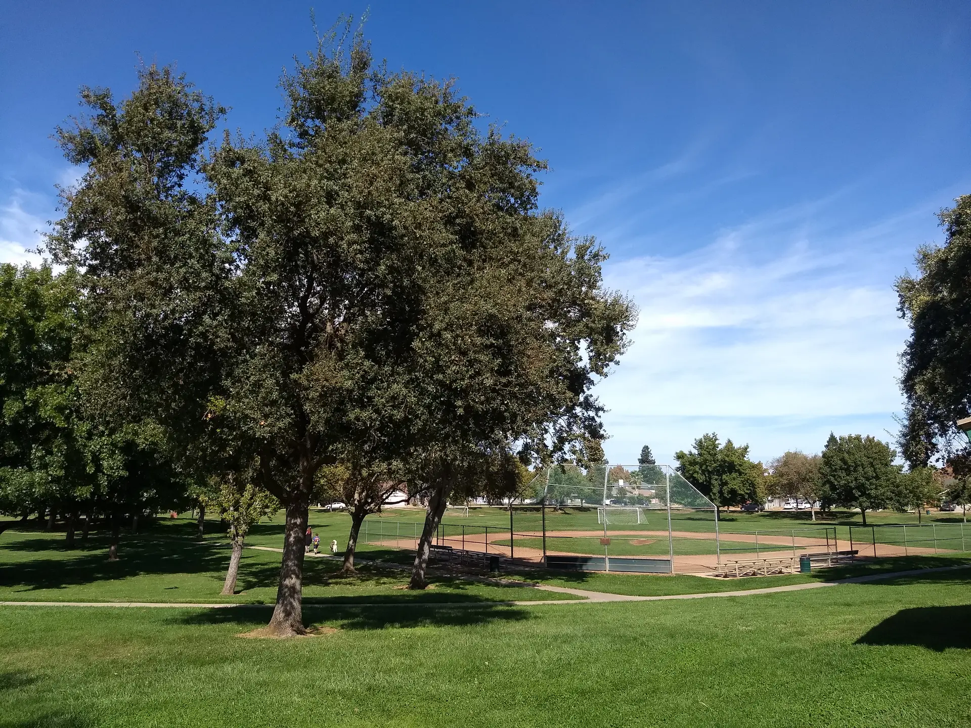A sunny park with green grass, large trees, and a baseball field.