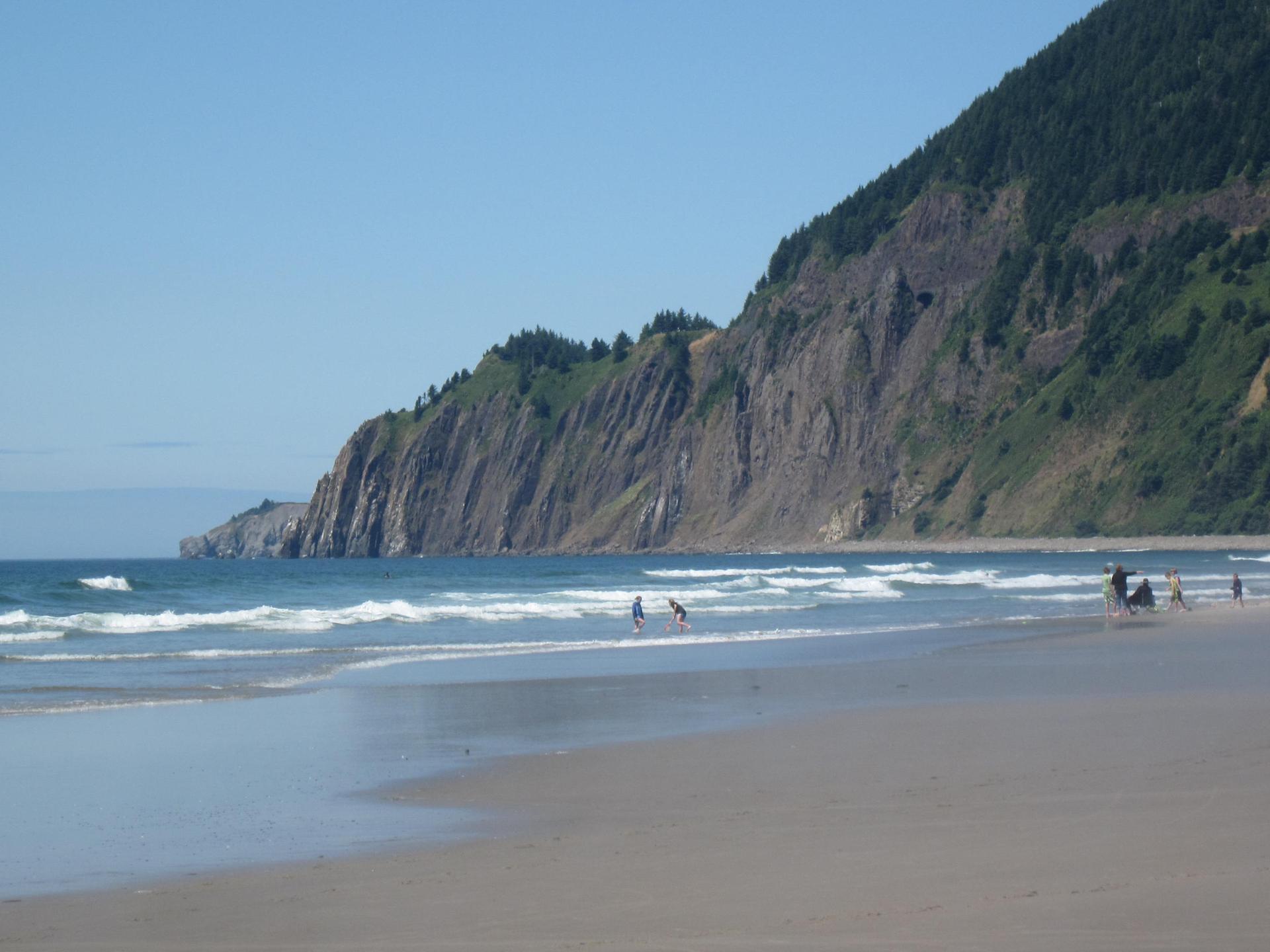 Sunny beach with a large forested cliff and people walking near the waves.