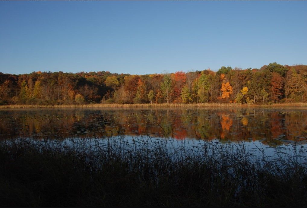 Colorful autumn trees reflect in a calm lake under a clear blue sky. - Haven Hill Loop