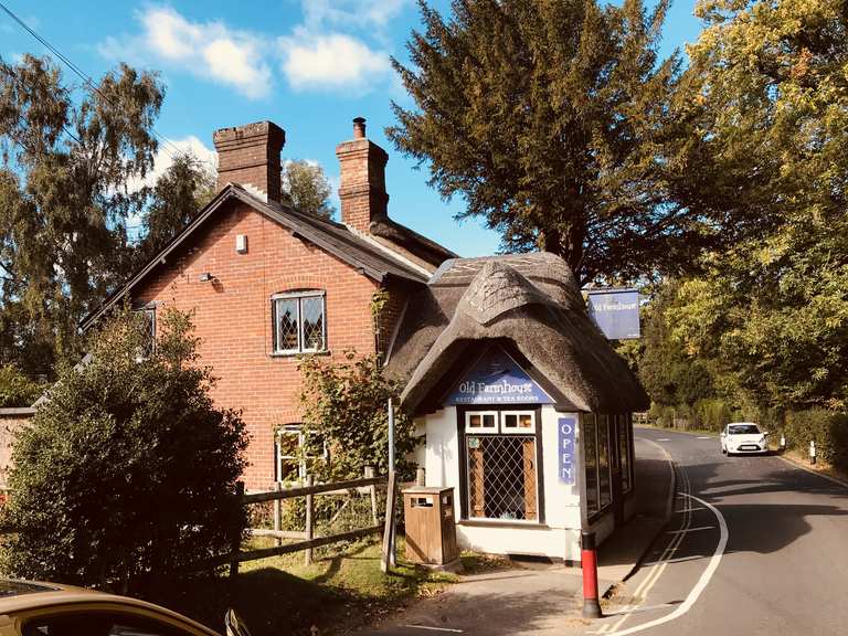 Ringwood & Burley loop from Brockenhurst — New Forest National Park