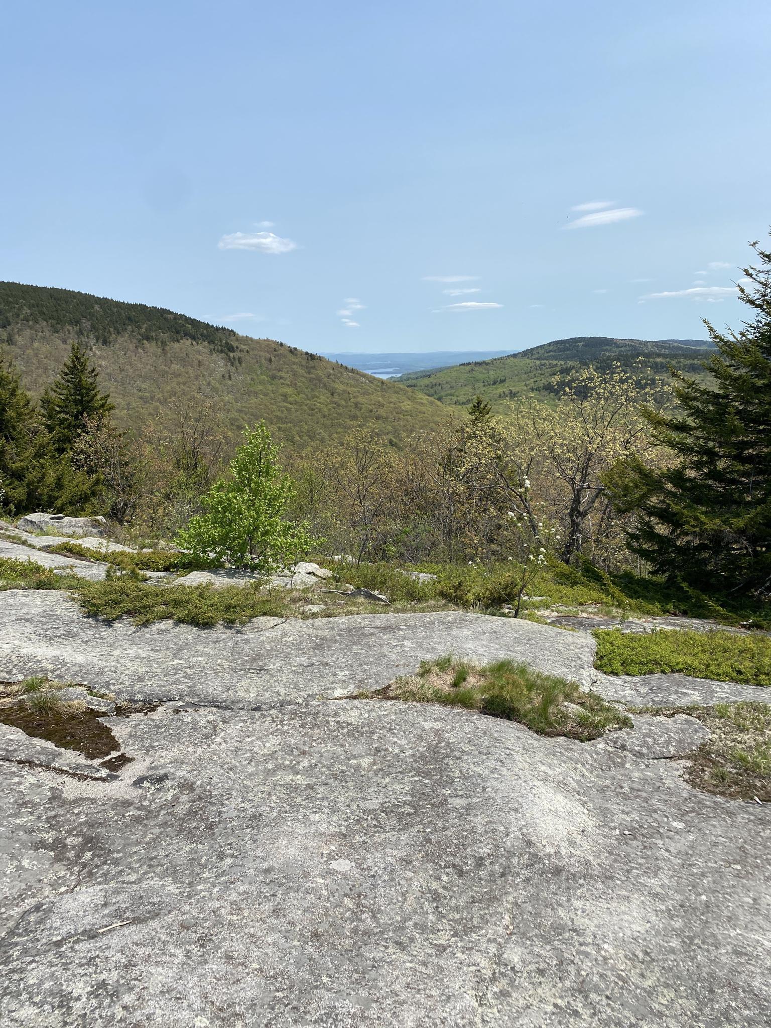 Rocky foreground overlooks green forested hills and distant water under a bright sky.