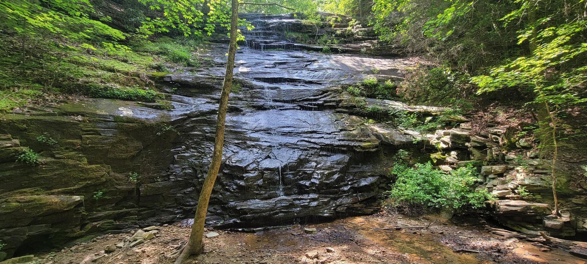 Small waterfall cascades down a dark, wet rocky cliff in a green forest.