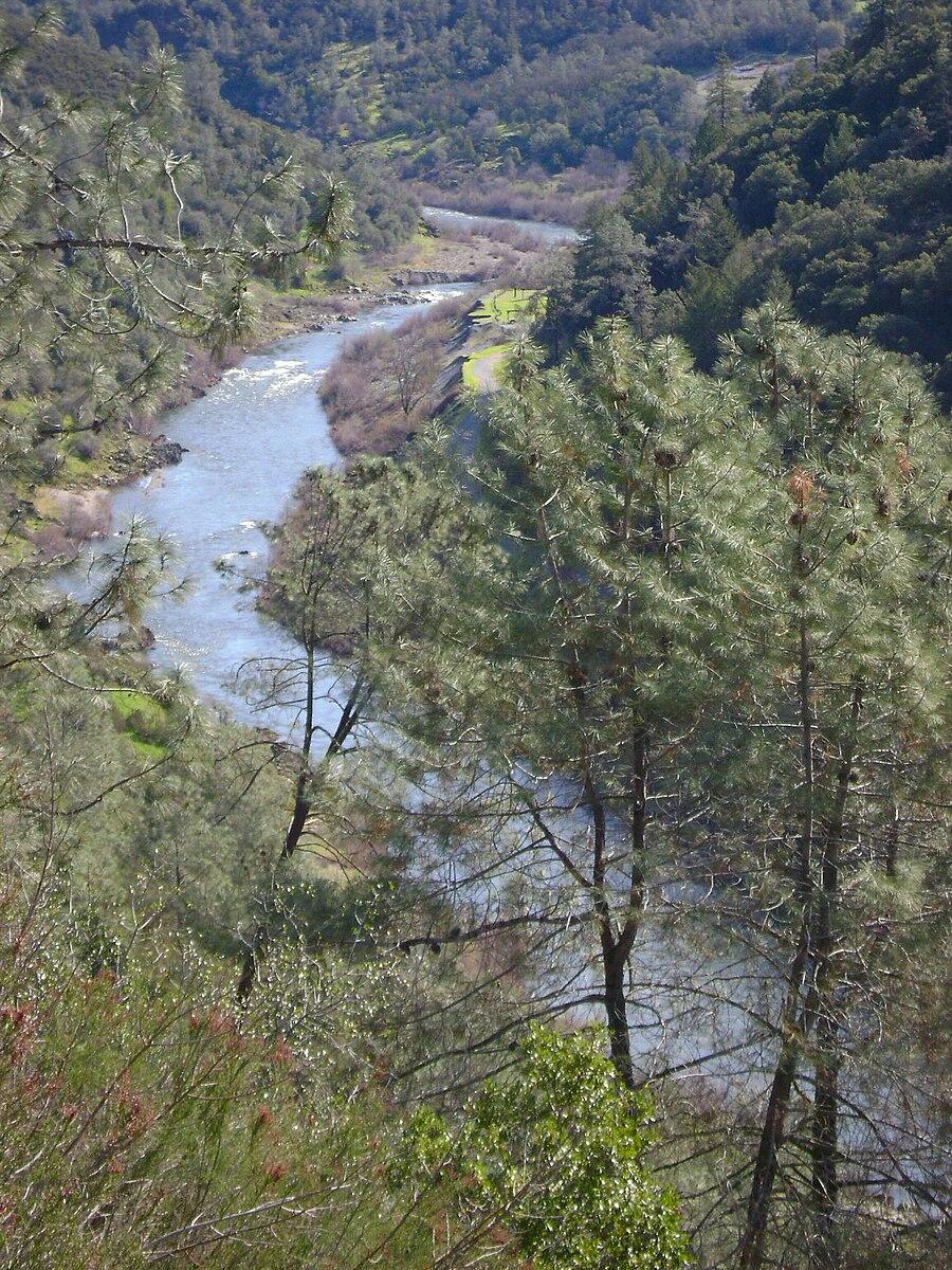 A winding river flows through a green, forested valley on a sunny day.