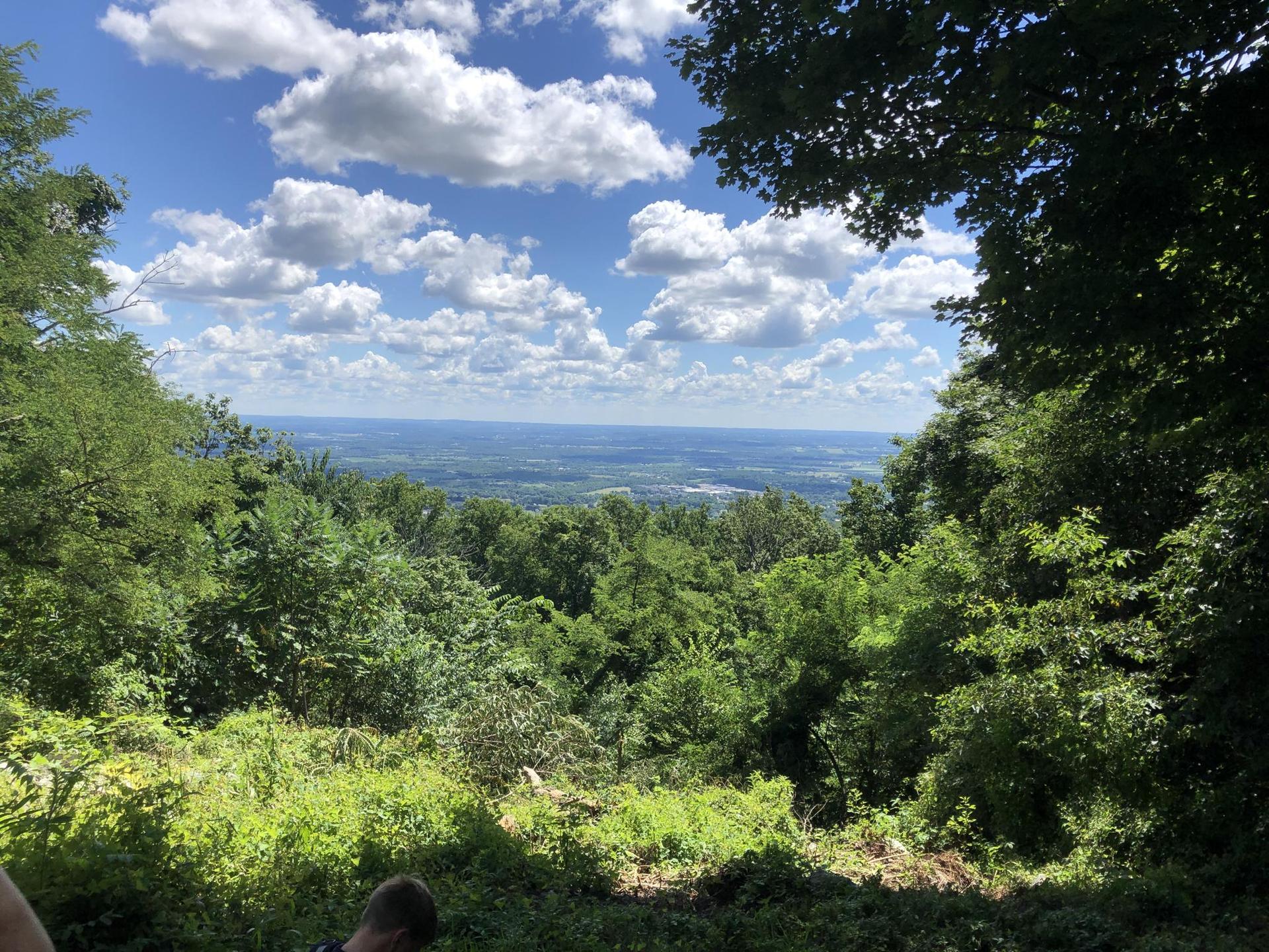 Sunny view of a green forest and distant valley, person in foreground.