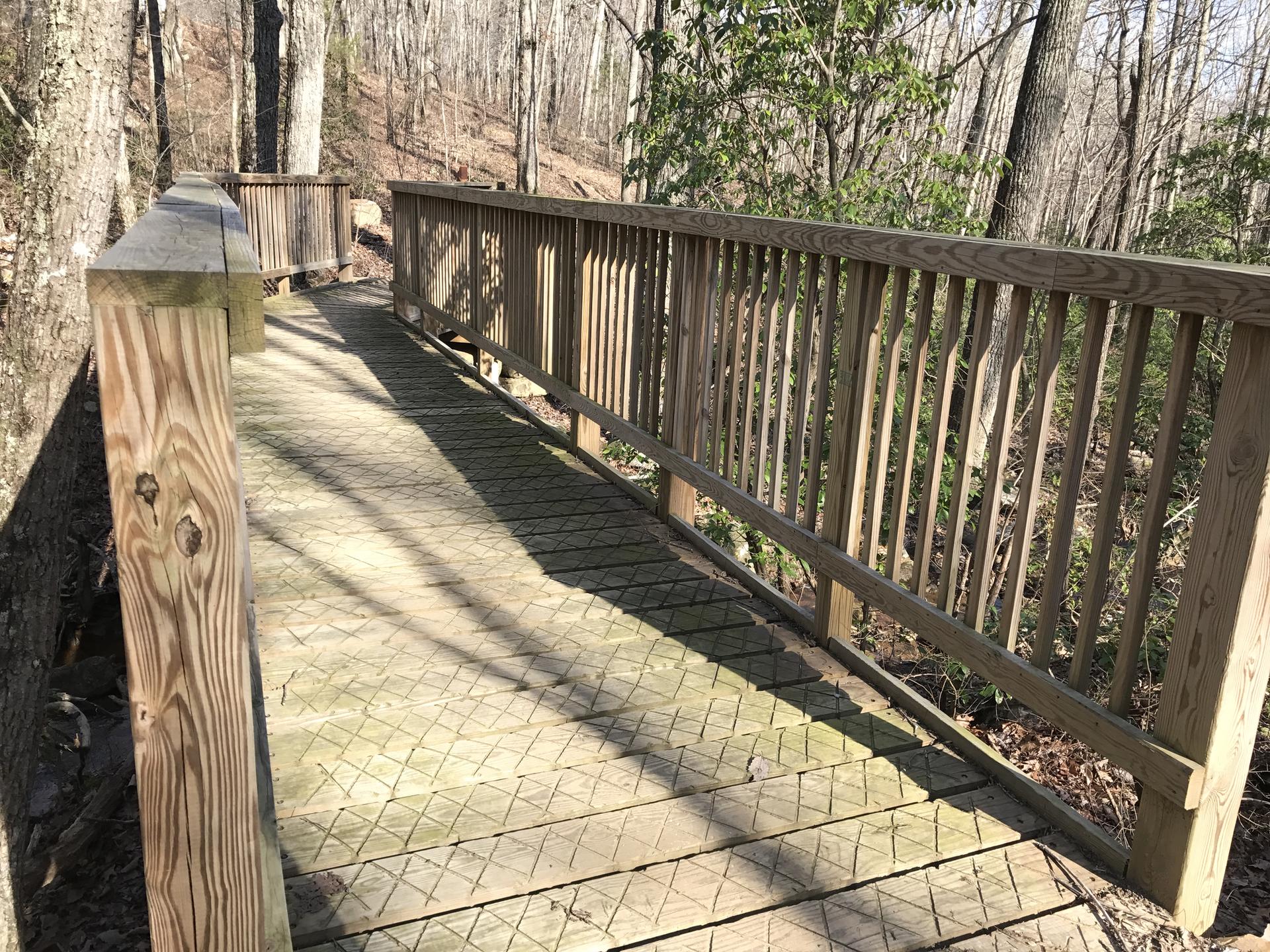 Sunny wooden boardwalk with railings in a forest of bare trees.