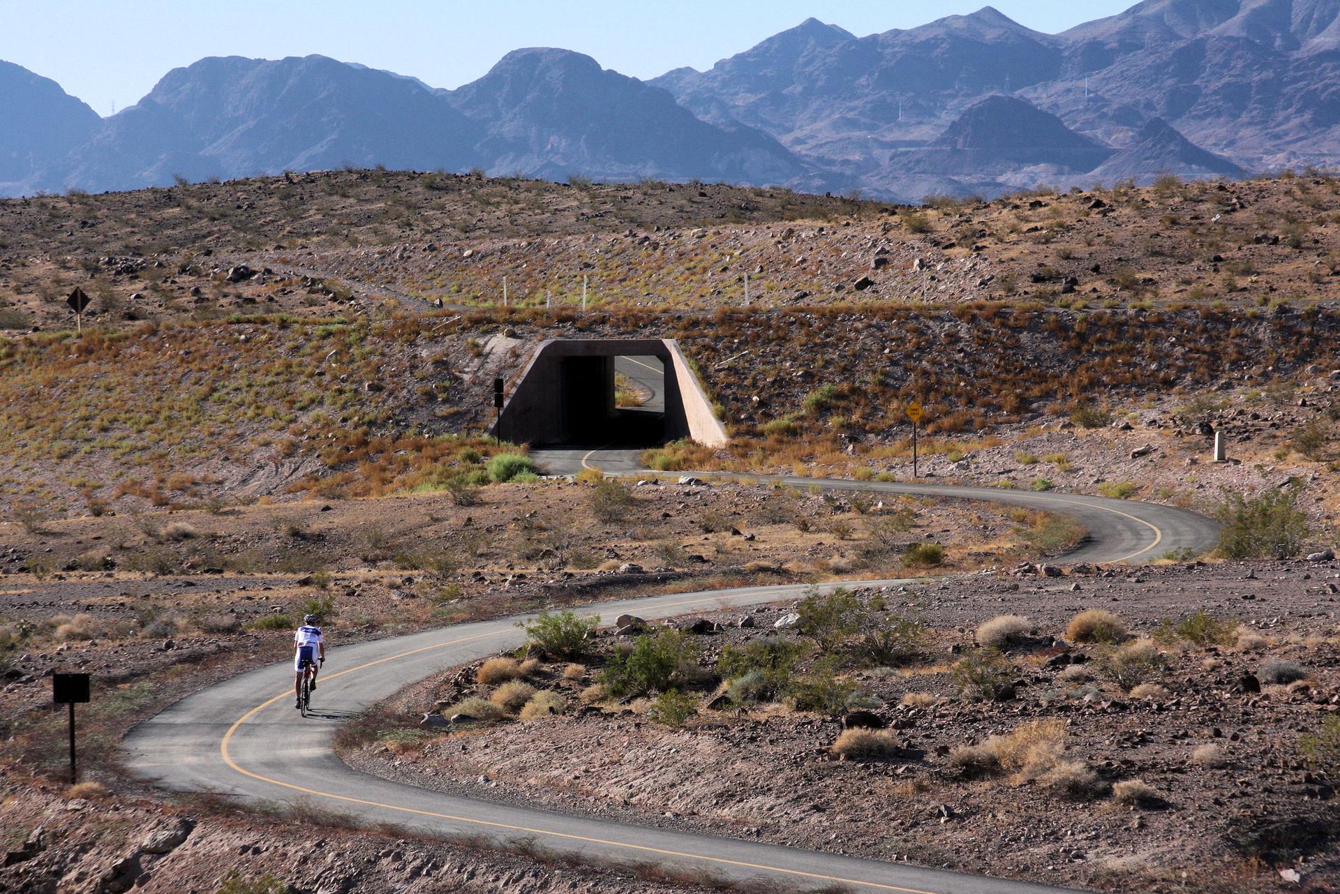 A cyclist rides a winding paved road towards a tunnel in arid hills.