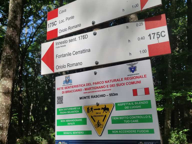 Beech Forest of Monte Raschio (UNESCO World Heritage Site) – Hiking ...
