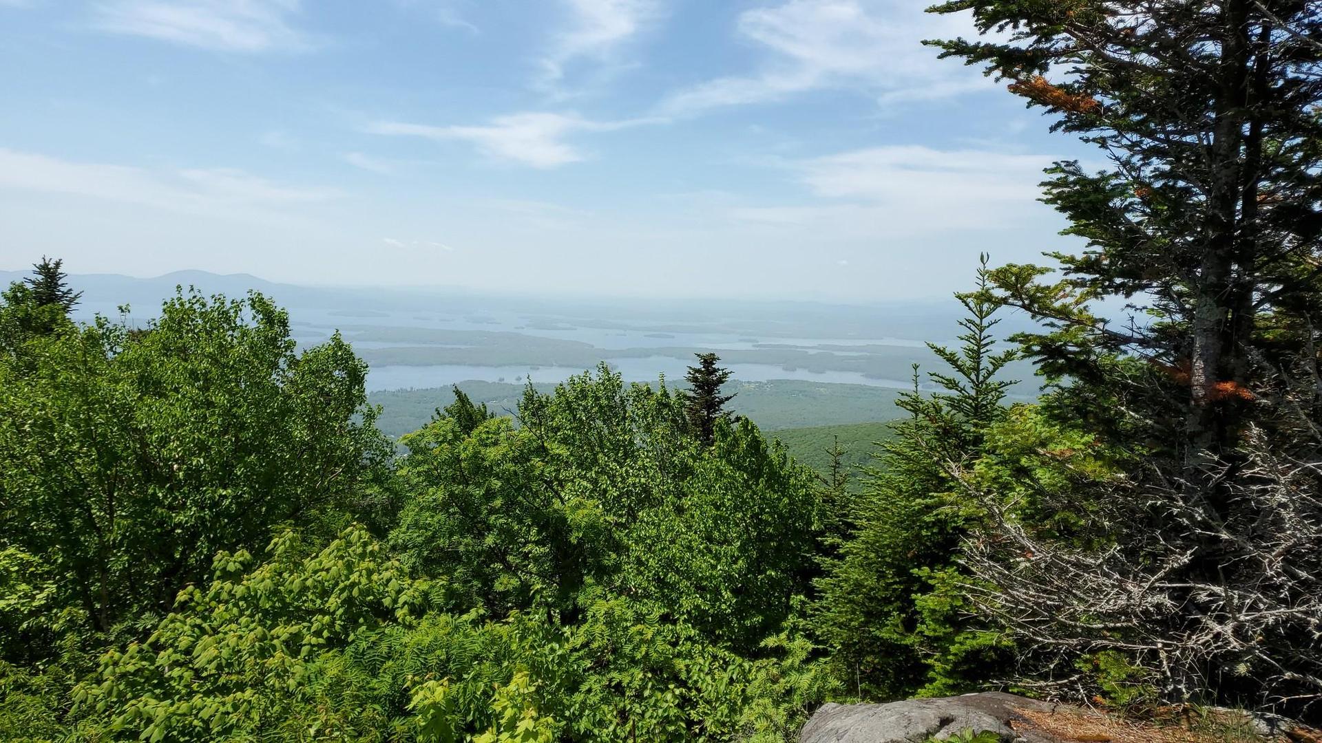 Expansive view over green treetops to a distant lake and hazy horizon.