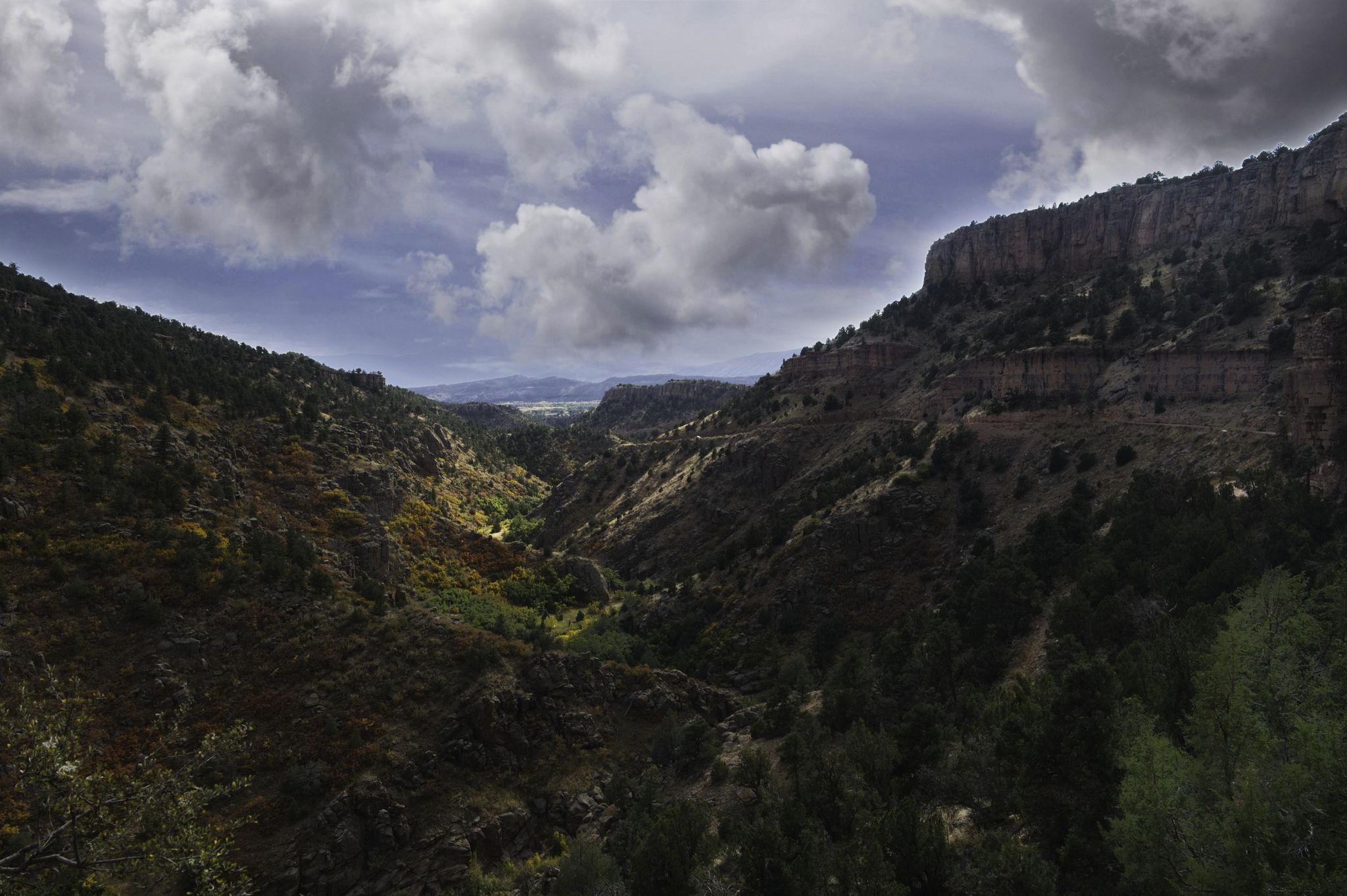 Deep, forested valley under a cloudy sky with sunlit patches. - Cripple Creek from Canon City on the Shelf Road - Gravel ride