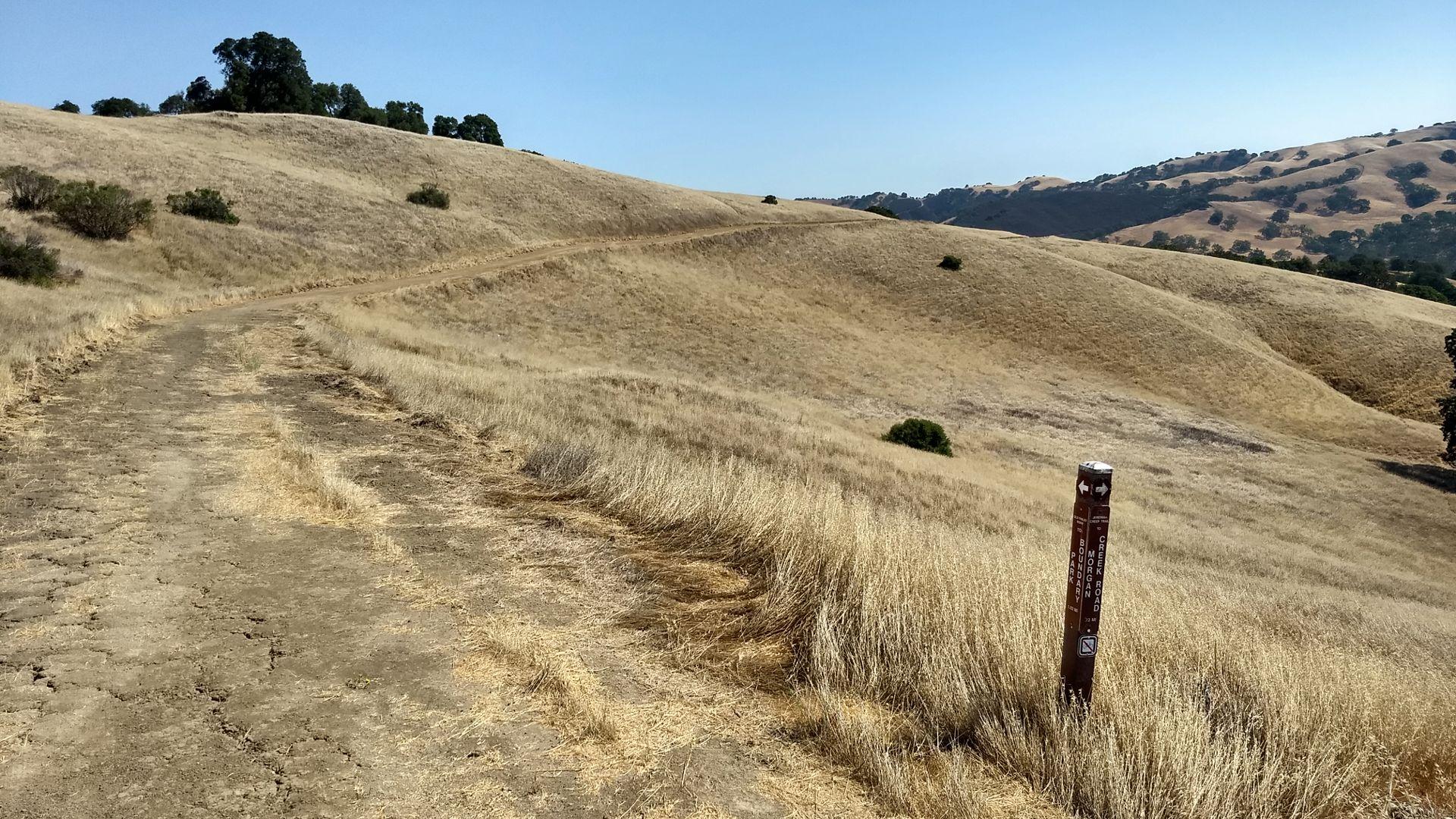 Dirt path through golden grassy hills with a wooden marker post.