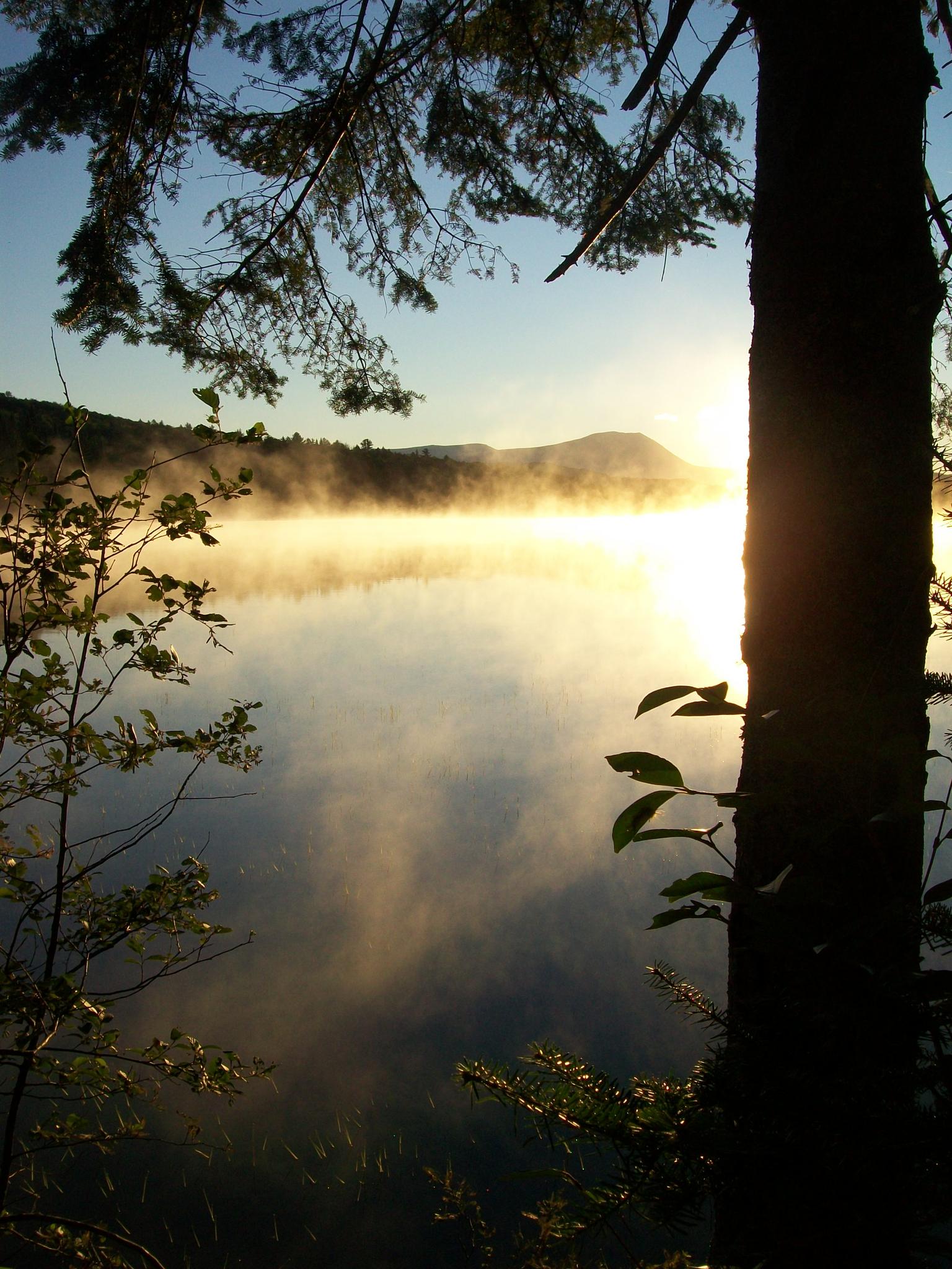 Sunrise over a misty lake, framed by dark trees and branches.