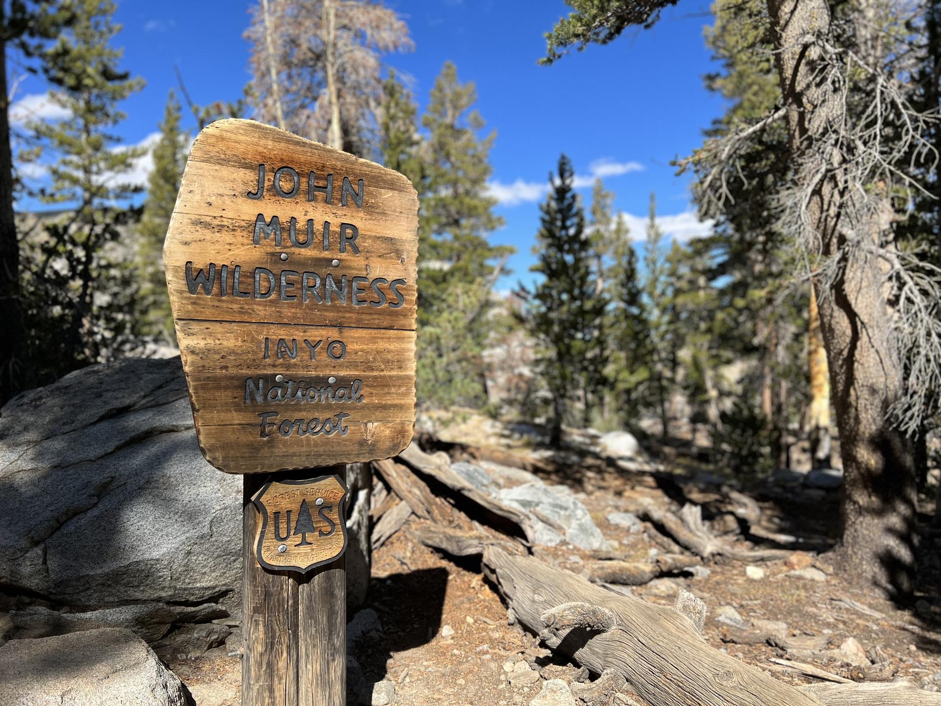 Wooden wilderness sign in a forest clearing with tall pine trees.