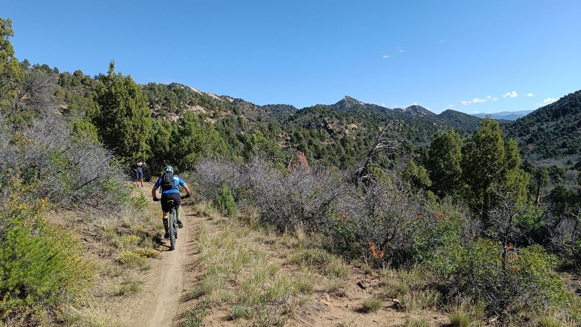 A person mountain biking on a sunny dirt trail through arid, hilly terrain.