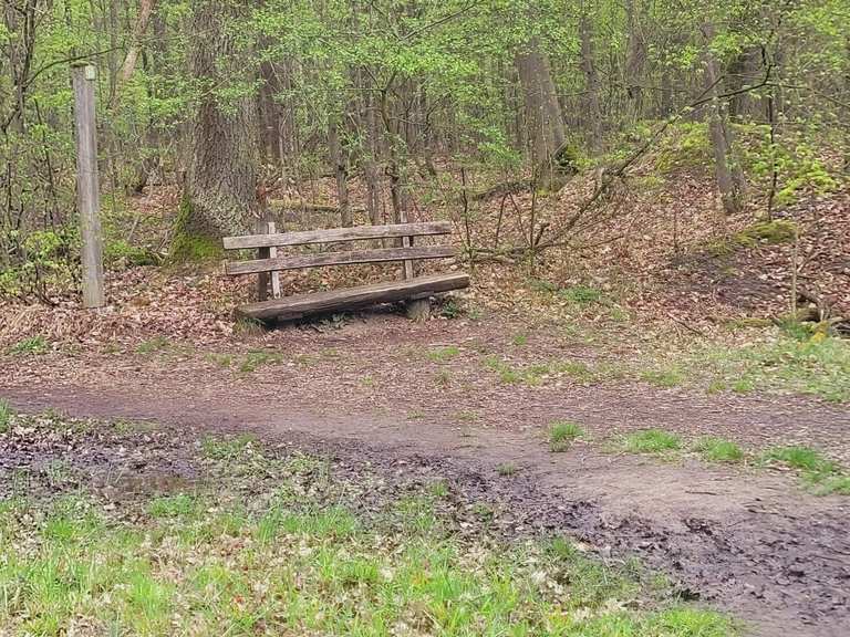 Runde Ober Olmer Wald | Wanderung | Komoot