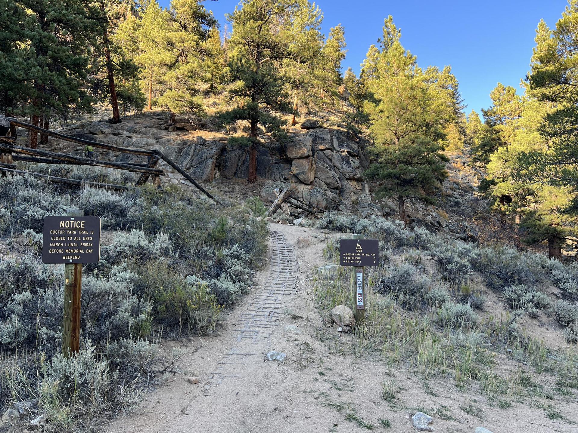 Dirt path with signs leading up a rocky, pine-covered hill in bright sunlight.