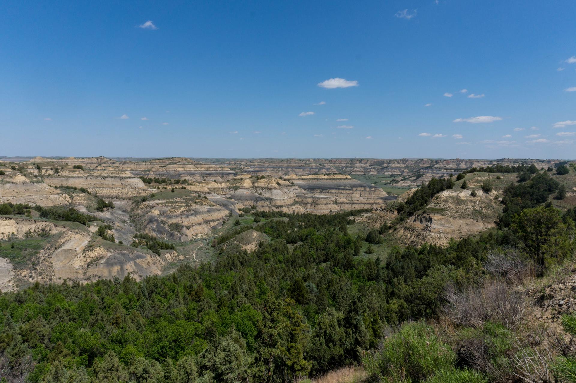 Panoramic view of vast badlands with green forests under a bright blue sky.
