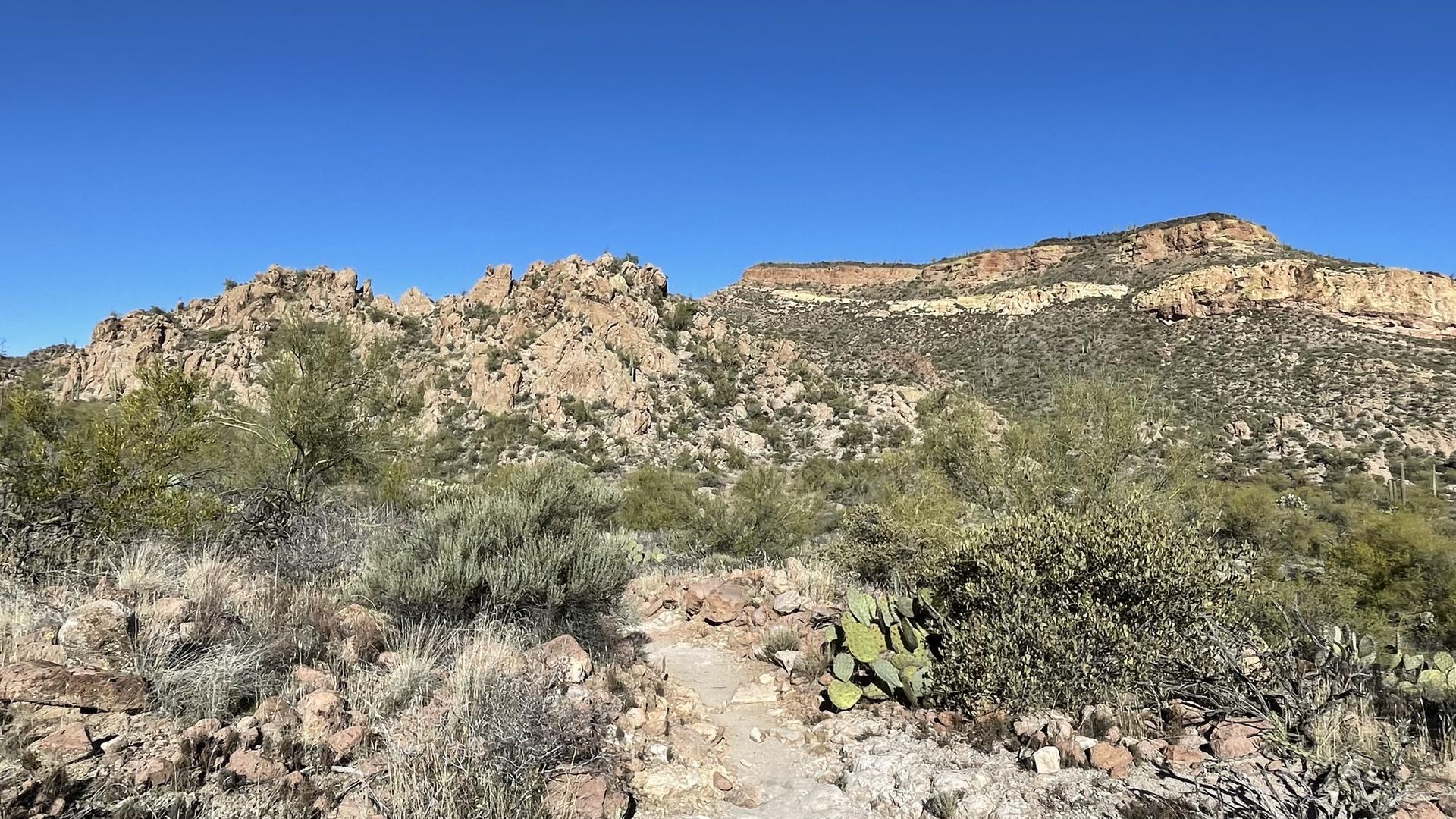 A winding dirt path through desert scrub, leading to rocky mountains.