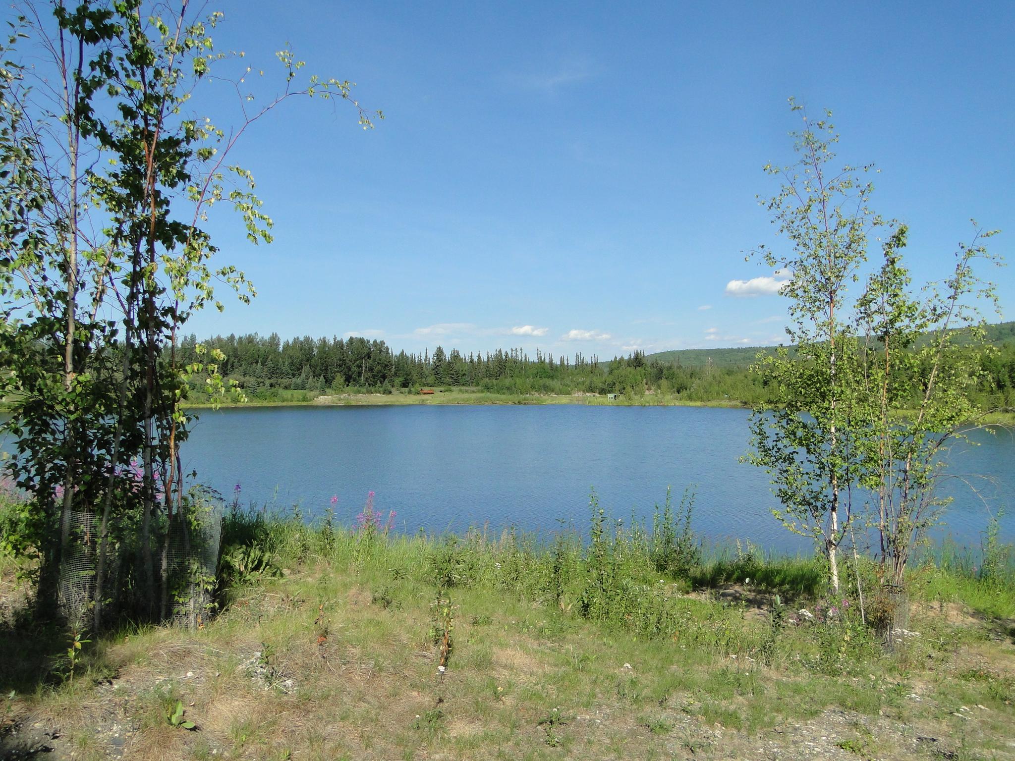 Expansive calm blue lake surrounded by green forest under a clear sky.