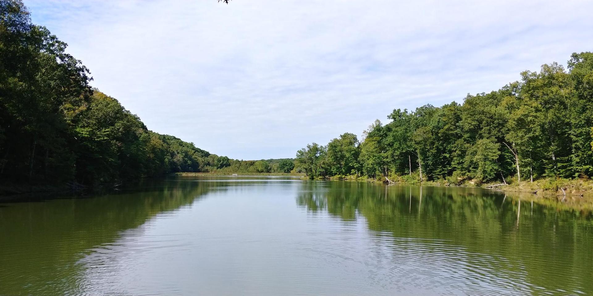 A wide, calm lake reflects green trees under a bright, cloudy sky.