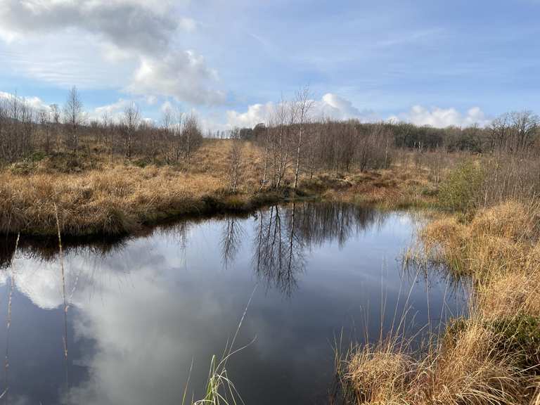 Moorauge/Palsen: Wanderungen und Rundwege | komoot