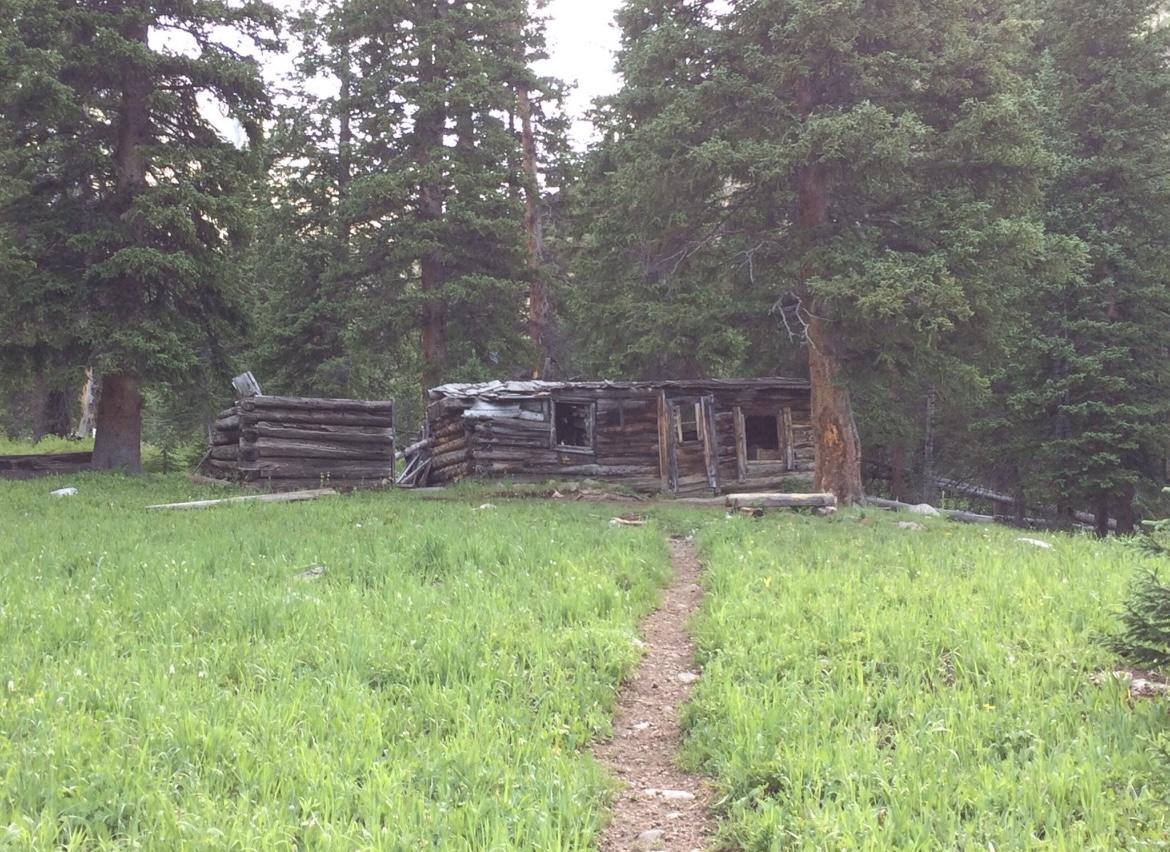 Dilapidated log cabin in a grassy clearing surrounded by dense forest.