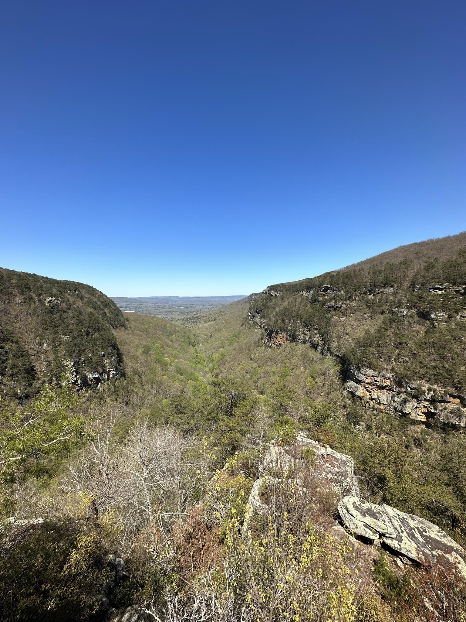 Wide canyon view with forested slopes and a clear blue sky.