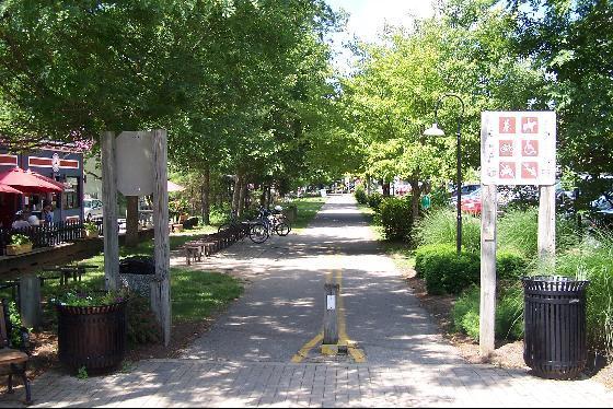 Sunny paved pathway lined with green trees, signs, and trash cans.