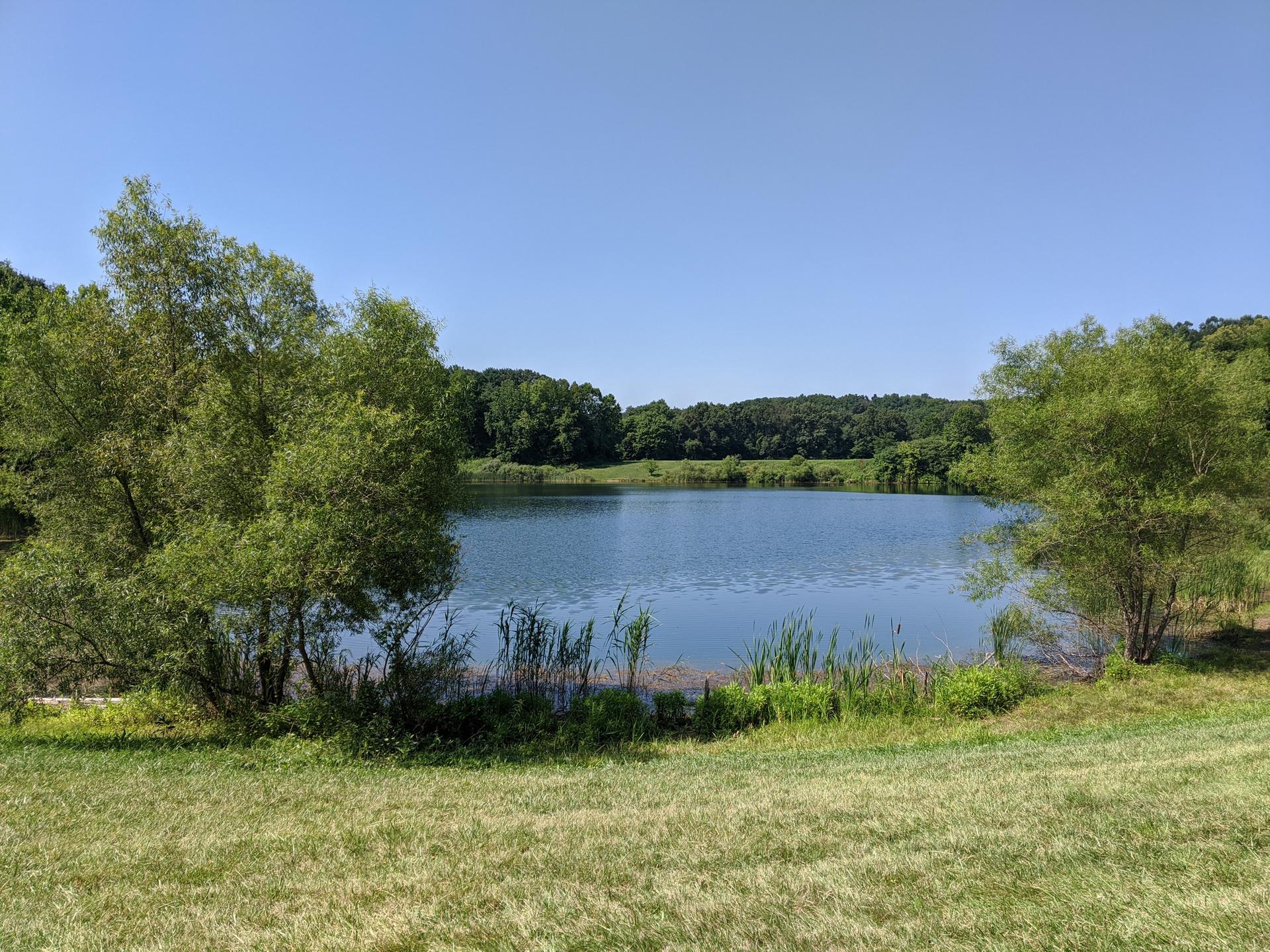A serene lake surrounded by green trees under a bright blue sky.