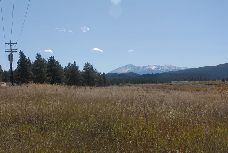 Sunny field with pine trees, power lines, and distant snow-capped mountains. - Centennial Trail