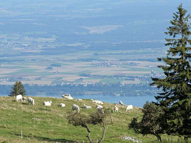 La roche Devant et les trois commères — boucle dans le parc naturel ...