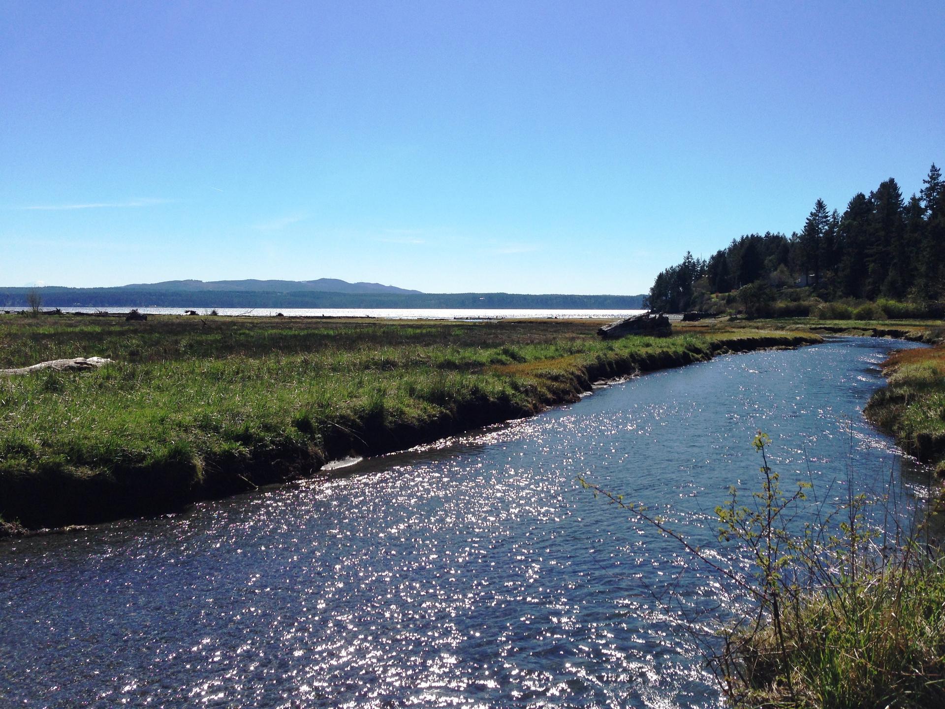 Sunny, sparkling river flowing through green marshland towards distant water.