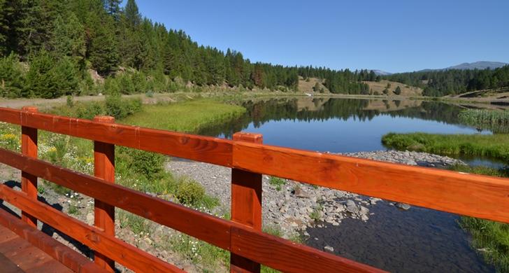 Orange railing frames a serene lake reflecting trees under a clear blue sky.