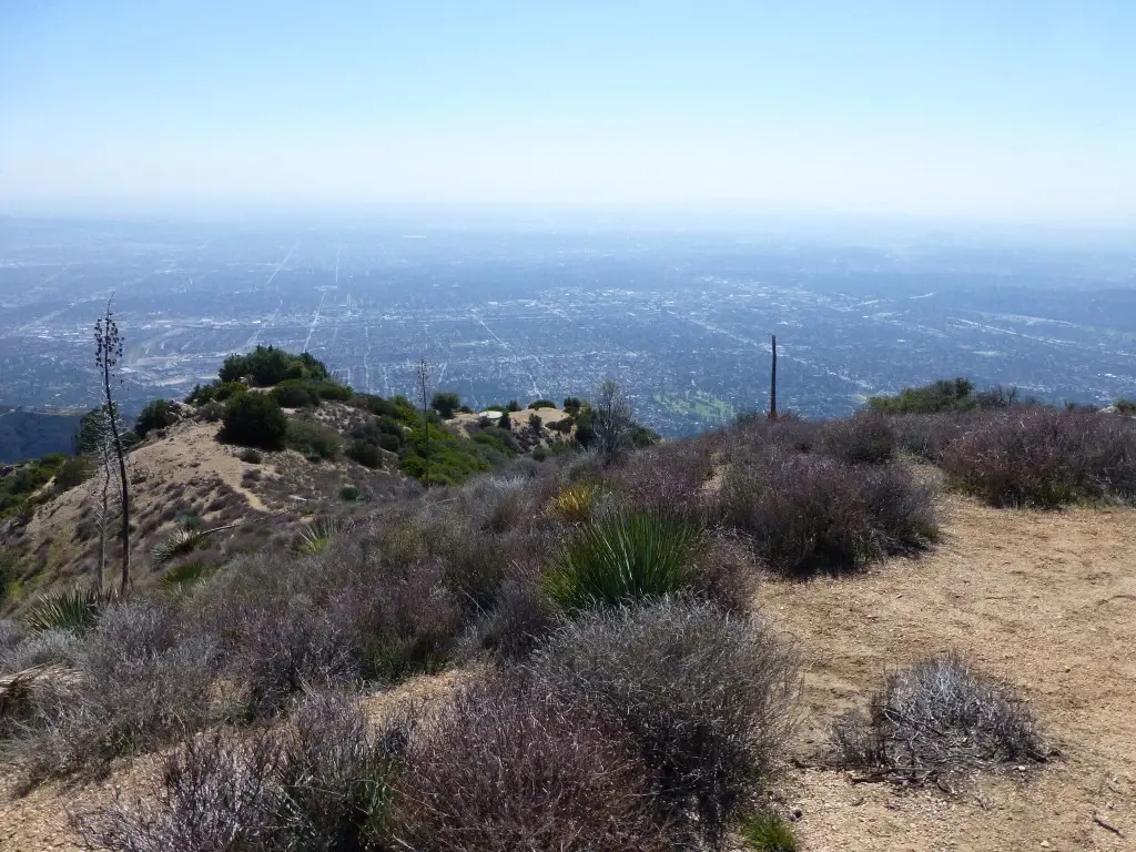 An expansive view of a hazy distant city from a dry, scrub-covered hillside.