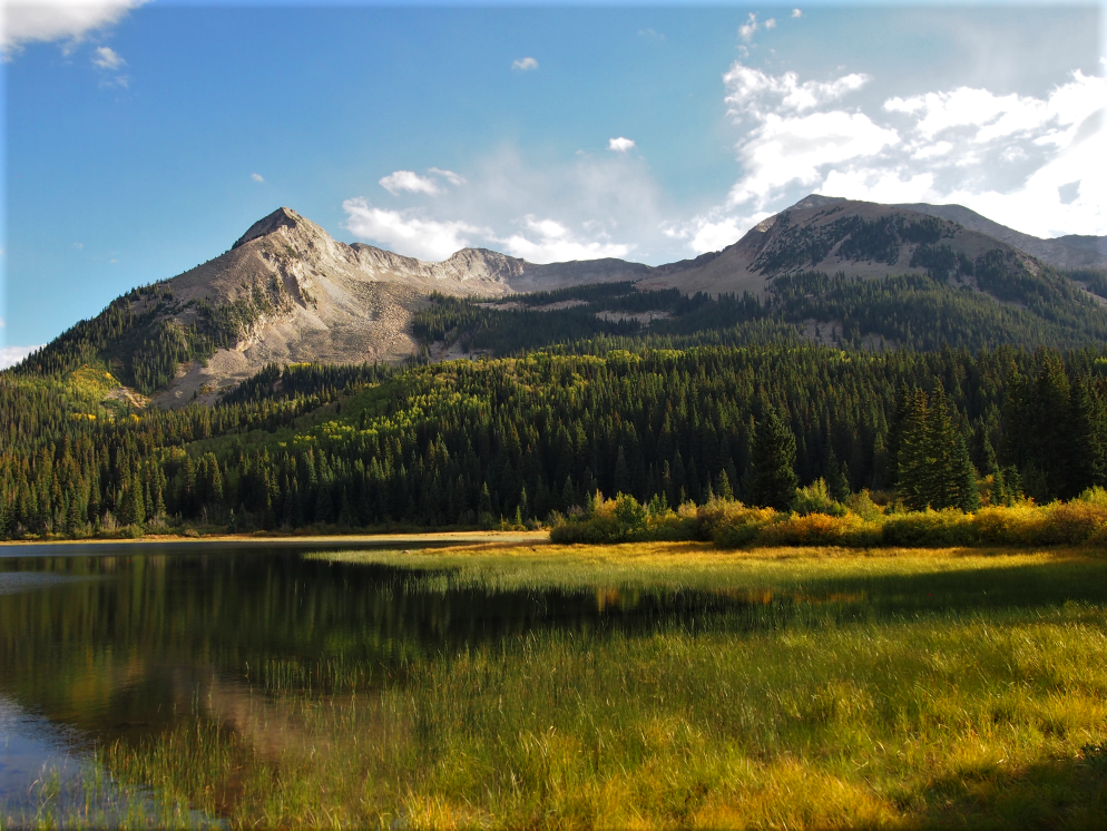 Sunny mountain lake with golden autumn grasses and forested peaks under a blue sky.
